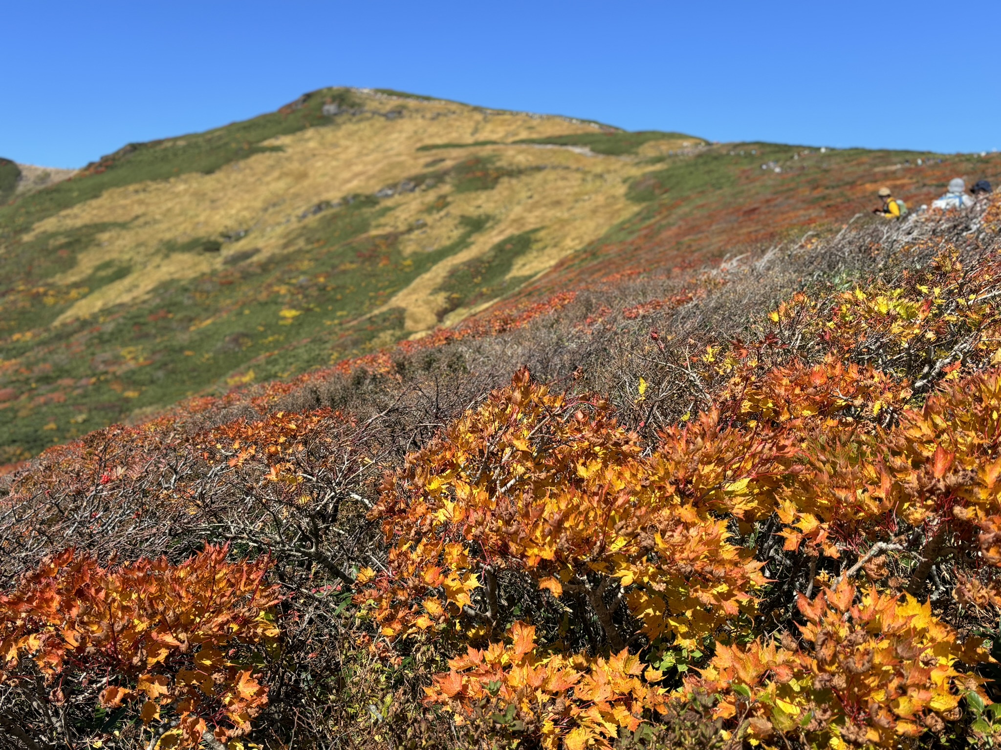 その季節のベストを狙う山歩き
